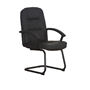 Zeta - LEATHER VISITOR CHAIR 8210V