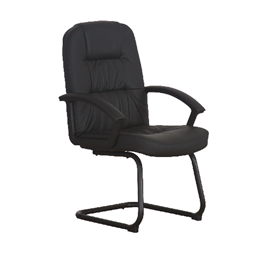 Zeta - LEATHER VISITOR CHAIR 8210V